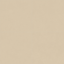 Ceramic floor and wall tile | 60x60 cm | Natural Blend Wheat