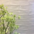7.6x30.2 cm | Neutra Crisp Linen Glossy 7.6x30.2 cm | Neutra Crisp Linen Glossy