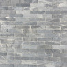 Natuursteen tegel | 5x20 cm | Hanoi Bluestone Basic