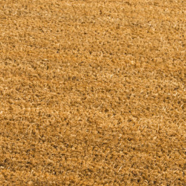 Accessories | 58.4x118.4 cm | Kokotap